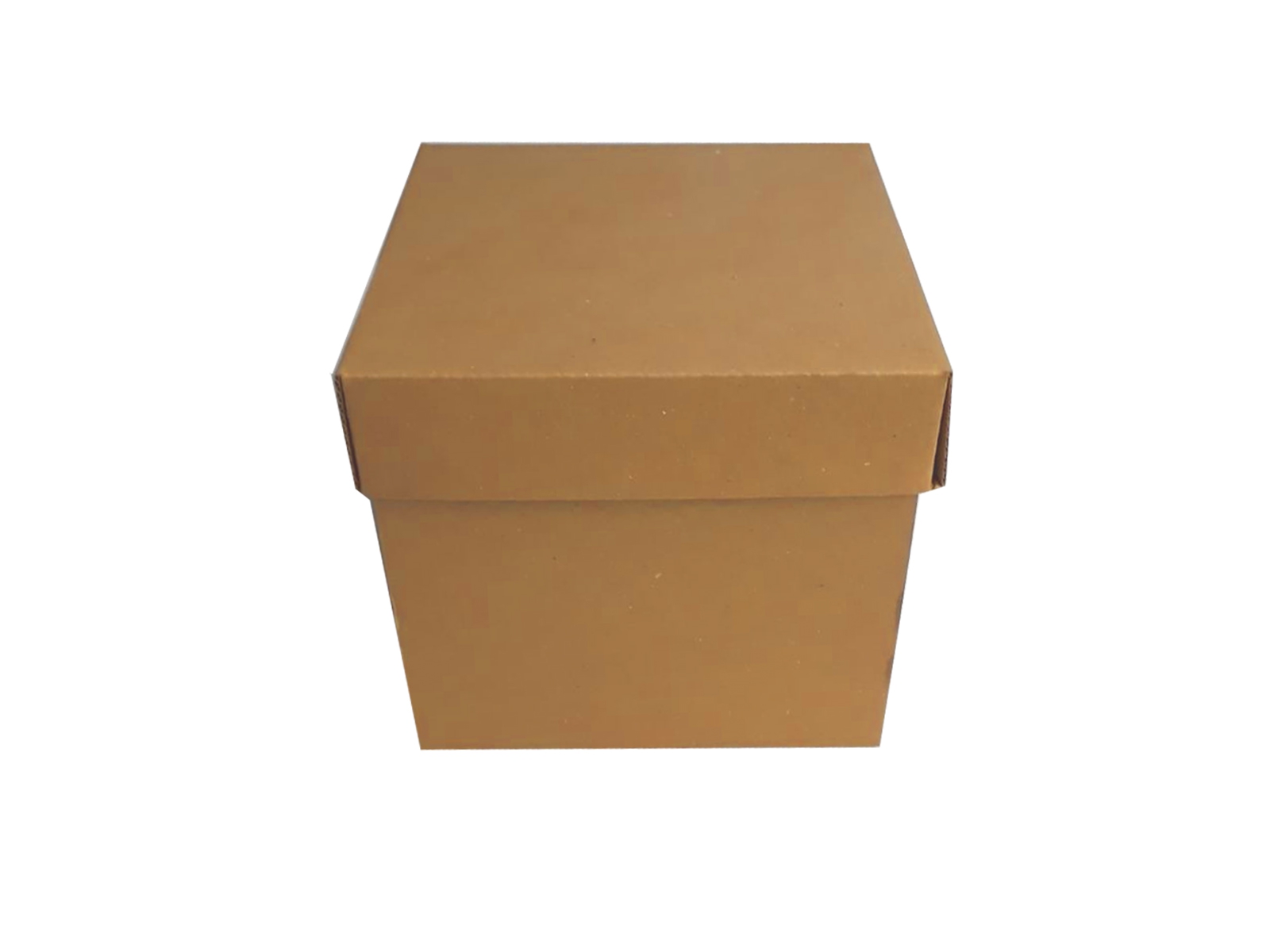 Kolievi Hediyelik Kapaklı Kutu 15x15x15 cm