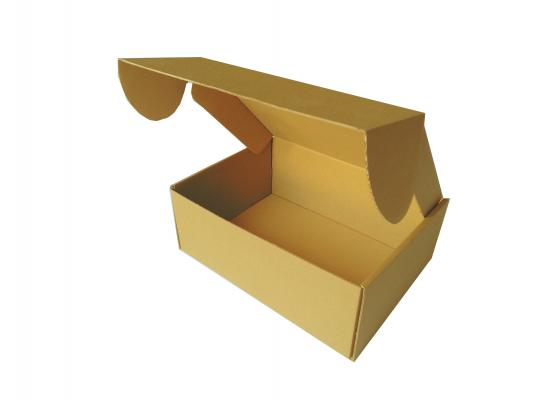  Kolievi 23x17x9 cm Kilitli Kutu - 12,25 TL KDV Dahil
