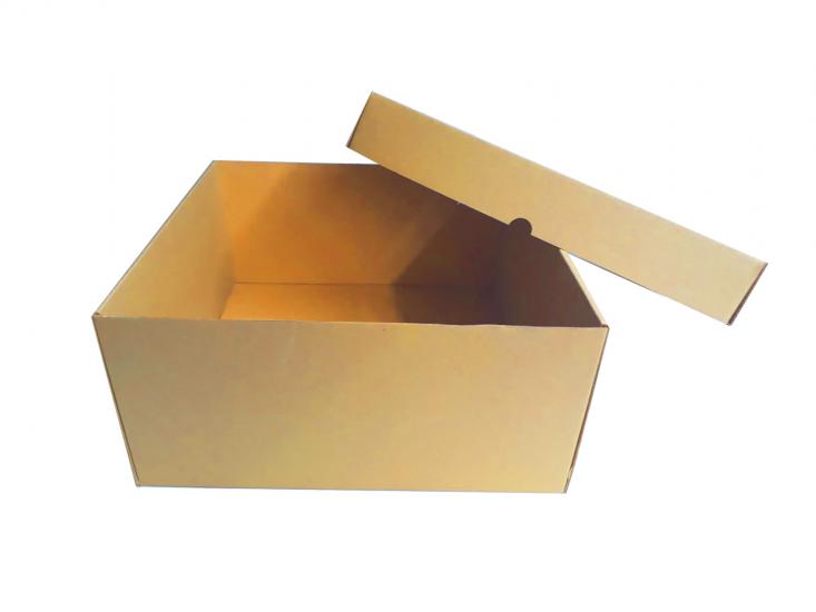 Kolievi Hediyelik Kapaklı Kutu 35x35x15 cm - 46,75 TL KDV Dahil
