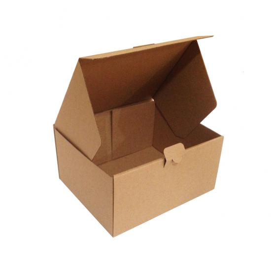 Kolievi 20x16x10 cm Kilitli Kutu - 7,25 TL KDV Dahil
