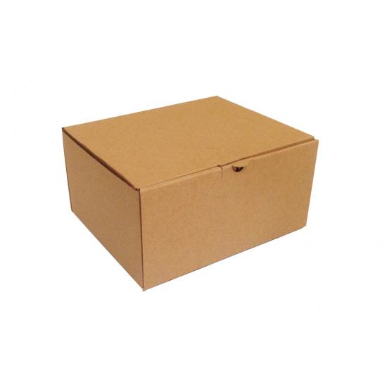 Kolievi 20x16x10 cm Kilitli Kutu - 7,25 TL KDV Dahil